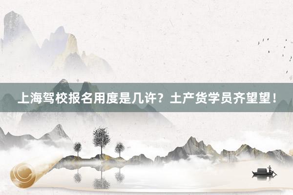 上海驾校报名用度是几许？土产货学员齐望望！