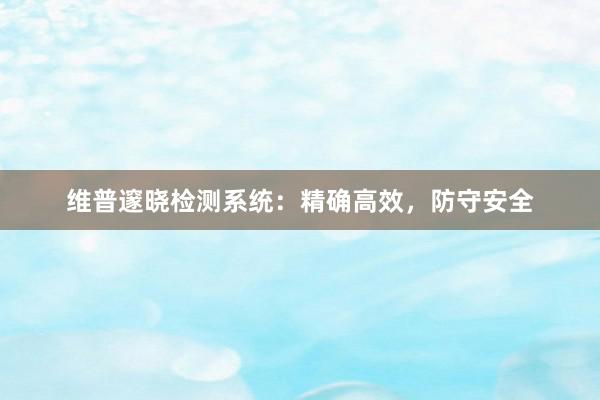 维普邃晓检测系统：精确高效，防守安全